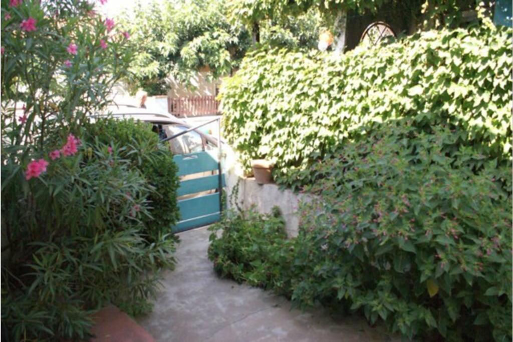 Belle Maison Avec Jardin A 1Mn De La Plage Le Grau-dʼAgde エクステリア 写真