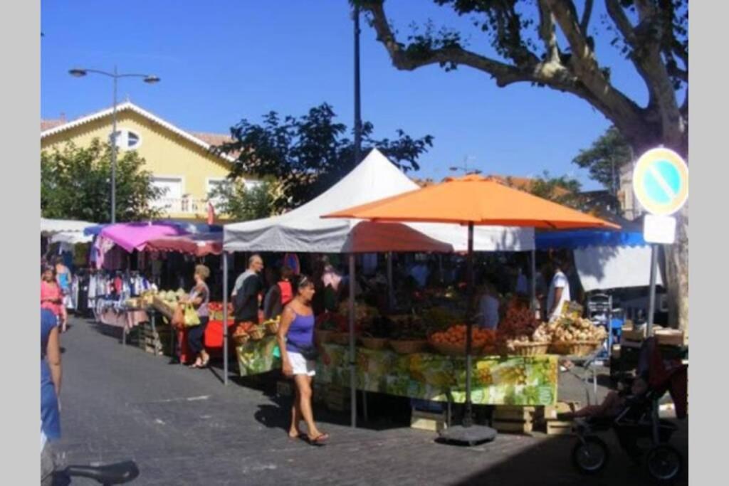 Belle Maison Avec Jardin A 1Mn De La Plage Le Grau-dʼAgde エクステリア 写真